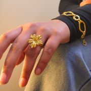 fashion jewellery, anti tarnish ring, fashion ring, waterproof ring, 18k gold plated rings, hypoallergenic ring, ring, amoha ring, stainless steel jewellery, sleek ring, classy ring, Artificial jewellery Online, Imitation Jewelry, Fashion Jewelry, Gold-Plated Jewelry, Designer Imitation Jewelry, Affordable Jewelry for Women, Trendy Jewelry for Women, Minimalist Jewelry, Statement Jewellery Online, Hypoallergenic Jewelry, Daily Wear Jewelry, OfficeWear Jewelry, Best Imitation jewellery Brands, Anti-Tarnish jewellery, Stainless Steel jewellery, Waterproof Jewelry, Unique Jewelry Designs, Lightweight Jewelry for Daily Use, Tarnish-Free Jewelry India, Stylish College Wear Jewelry, Latest Imitation jewellery, Stylish College Wear Ring, Latest Ring Designs, Anti-Tarnish Ring, Stainless Steel Ring, Hypoallergenic Ring, Officewear Ring, Waterproof Ring, Waterproof Minimalist Ring, Adjustable Ring, Open Band Ring, Bold Ring, Cocktail Ring, Stacking Ring, Minimalist Gold Ring