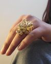 Jaguar Ring