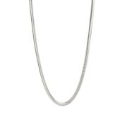 fashion jewellery, anti tarnish necklace, fashion necklace, waterproof necklace, 18k gold plated necklaces, hypoallergenic necklace, necklace, amoha necklace, stainless steel jewellery, sleek necklace, classy necklace, Artificial jewellery Online, Imitation Jewelry, Fashion Jewelry, Gold-Plated Jewelry, Designer Imitation Jewelry, Affordable Jewelry for Women, Trendy Jewelry for Women, Minimalist Jewelry, Statement Jewellery Online, Hypoallergenic Jewelry, Daily Wear Jewelry, OfficeWear Jewelry, Best Imitation jewellery Brands, Anti-Tarnish jewellery, Stainless Steel jewellery, Waterproof Jewelry, Unique Jewelry Designs, Lightweight Jewelry for Daily Use, Tarnish-Free Jewelry India, Stylish College Wear Jewelry, Latest Imitation jewellery, Stylish College Wear Necklace, Latest Necklace Designs, Anti-Tarnish Necklace, Stainless Steel Necklace, Hypoallergenic Necklace, Officewear Necklace, Waterproof Necklace, Waterproof Minimalist Necklace