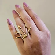 fashion rings, gold plated rings, anti tarnish rings, waterproof rings, stainless steel rings, imitation rings, daily wear jewellery, hypoallergenic jewellery, minimalist rings, statement rings, designer imitation jewellery